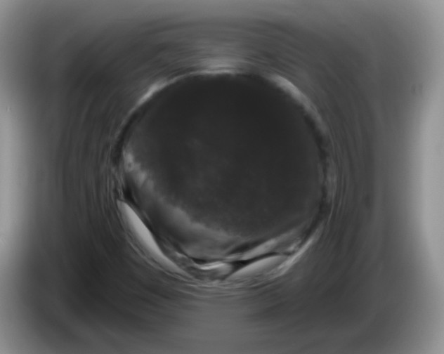 X0000084051449200703092042