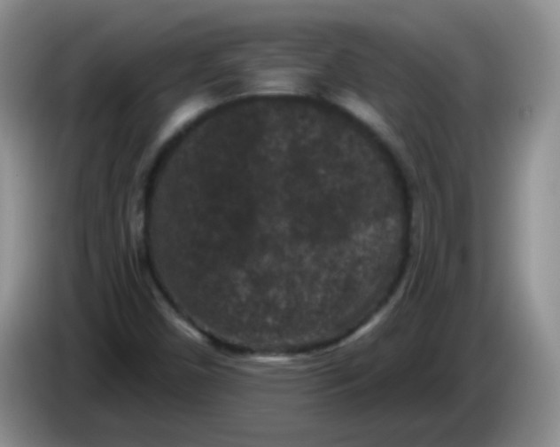 X0000084051450200703092042