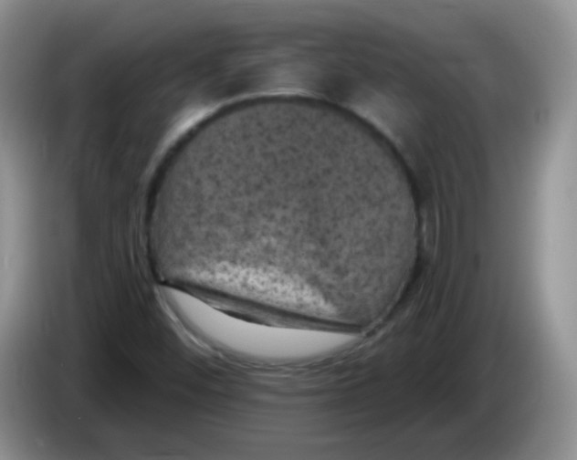 X0000084051452200703092042