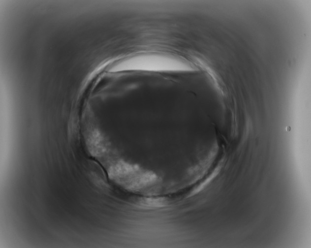 X0000084051453200703092042