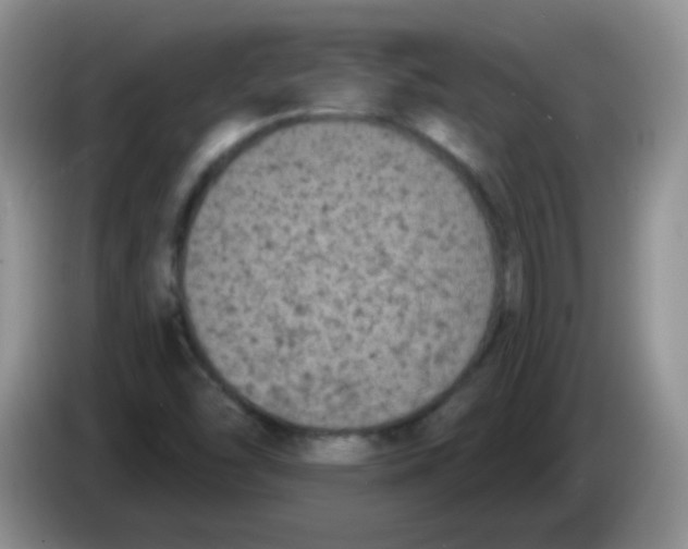 X0000084051454200703092042