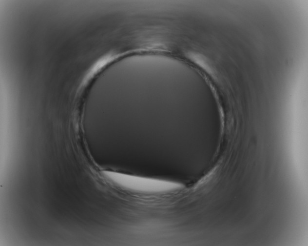 X0000084051455200703092042