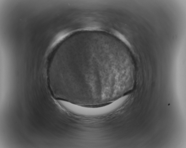 X0000084051456200703092042