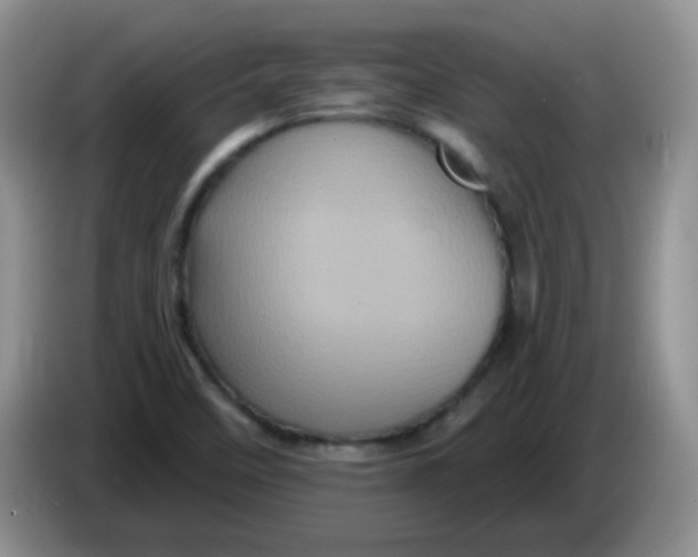 X0000084051458200703092042