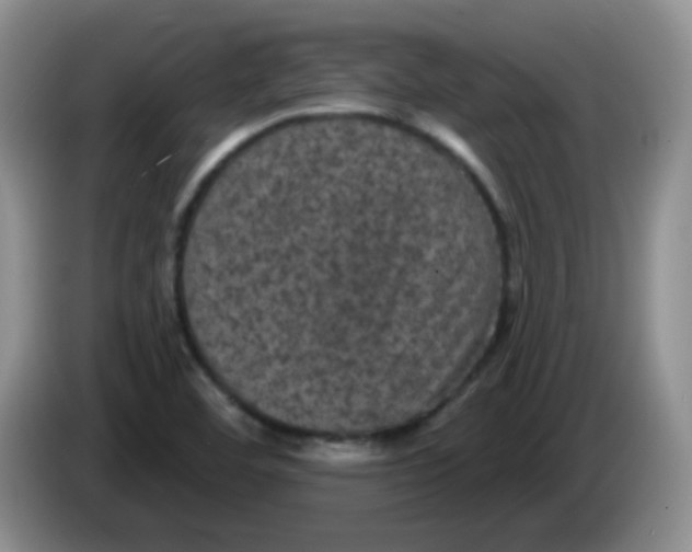 X0000084051460200703092042