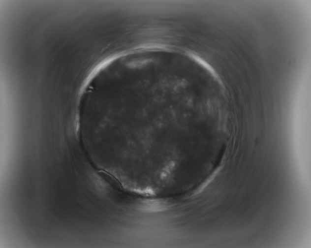 X0000084051461200703092042