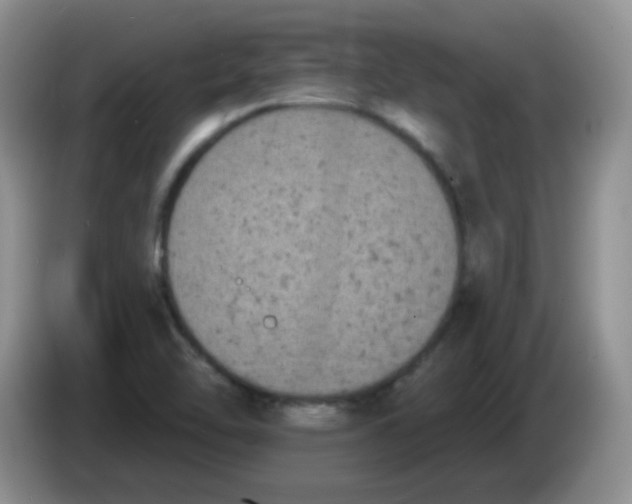 X0000084051462200703092042