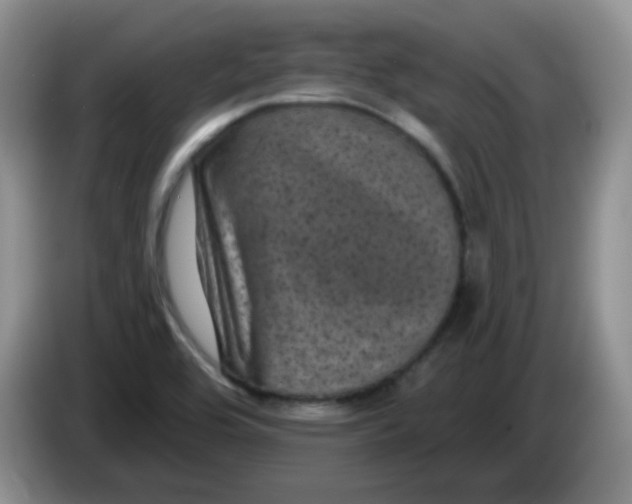 X0000084051464200703092042