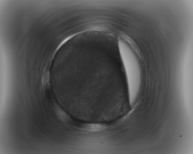 X0000084051465200703092042