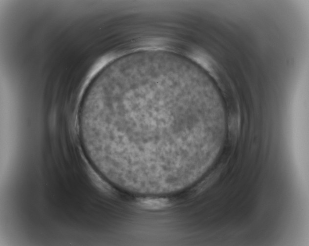 X0000084051466200703092042