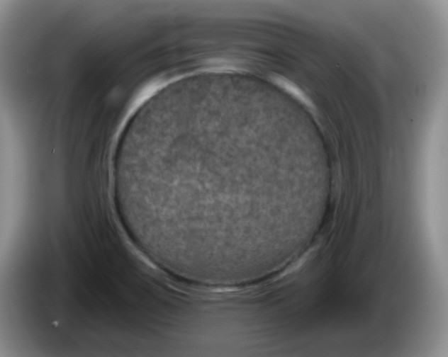 X0000084051467200703092042