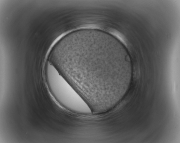 X0000084051468200703092042