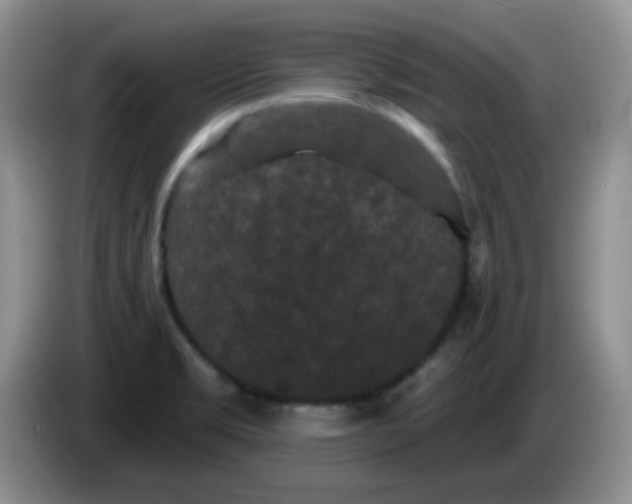 X0000084051469200703092042