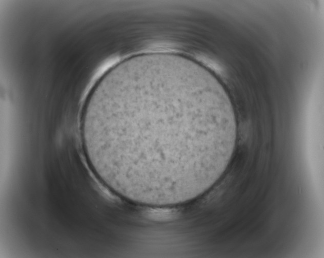 X0000084051470200703092042