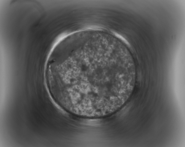 X0000084051471200703092042