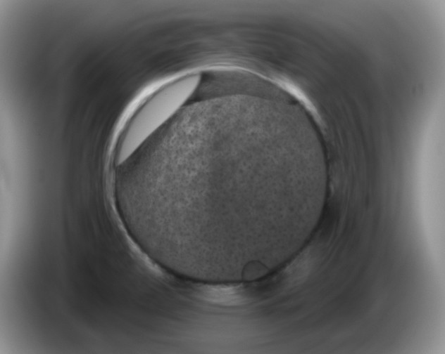 X0000084051472200703092042