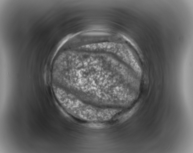 X0000084051473200703092042