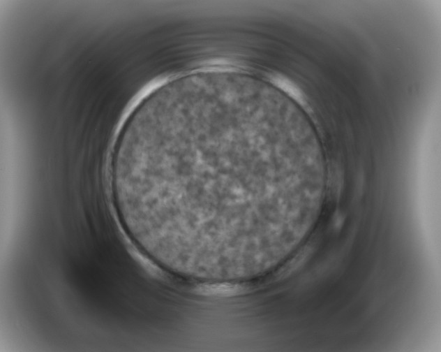 X0000084051474200703092042