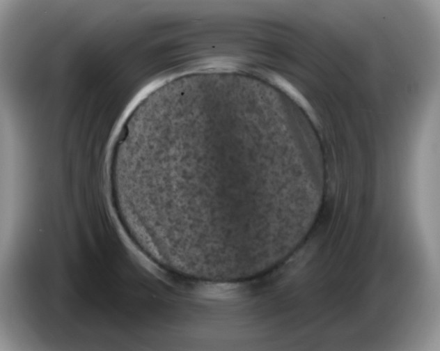 X0000084051475200703092042