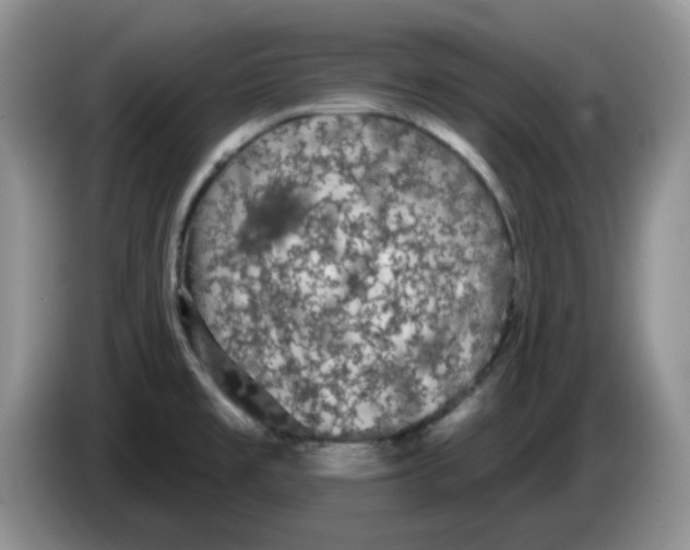 X0000084051477200703092042