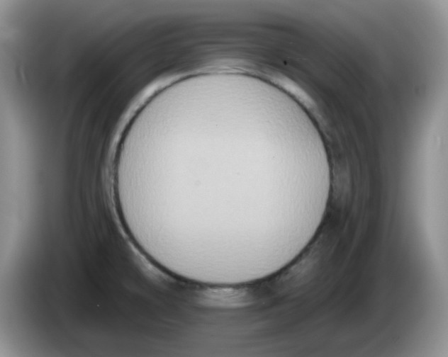 X0000084051478200703092042