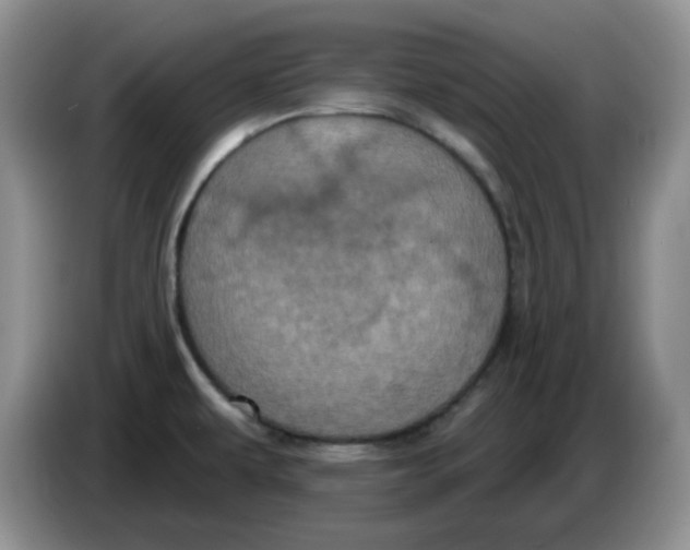 X0000084051479200703092042