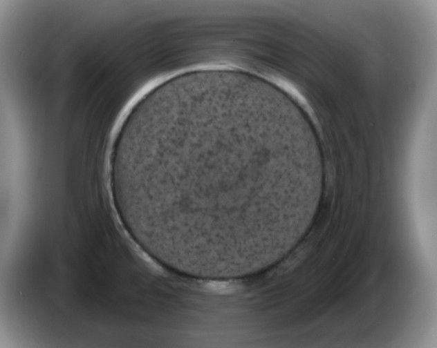 X0000084051480200703092042