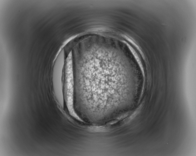 X0000084051481200703092042