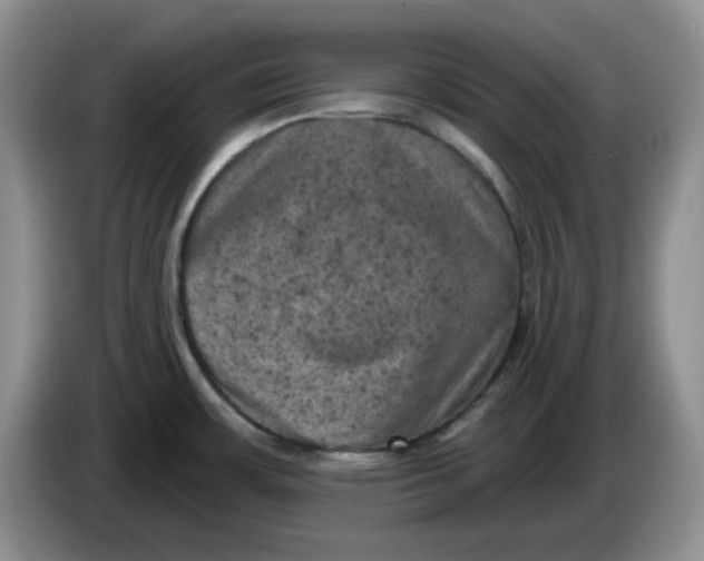 X0000084051483200703092042