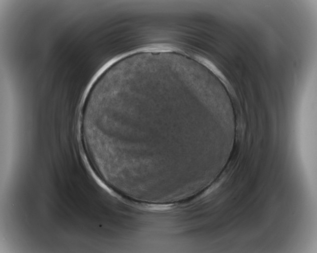 X0000084051484200703092042