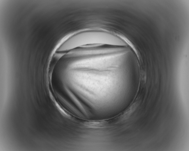 X0000084051485200703092042