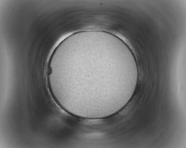 X0000084051486200703092042