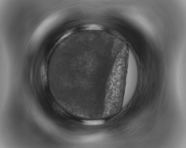 X0000084051487200703092042