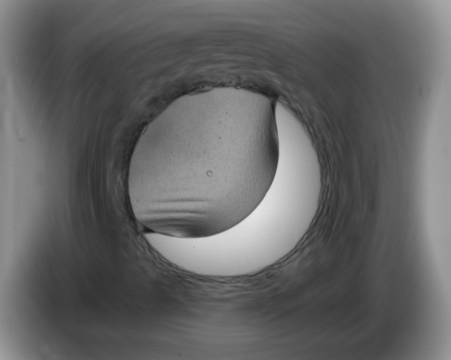 X0000084051489200703092041