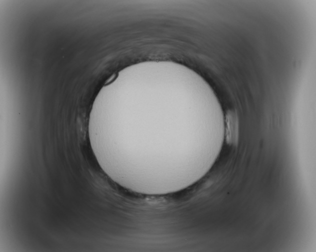 X0000084051491200703092041