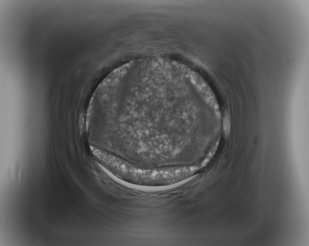 X0000084051492200703092041