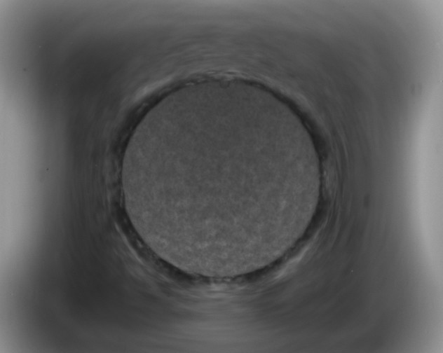 X0000084051494200703092041