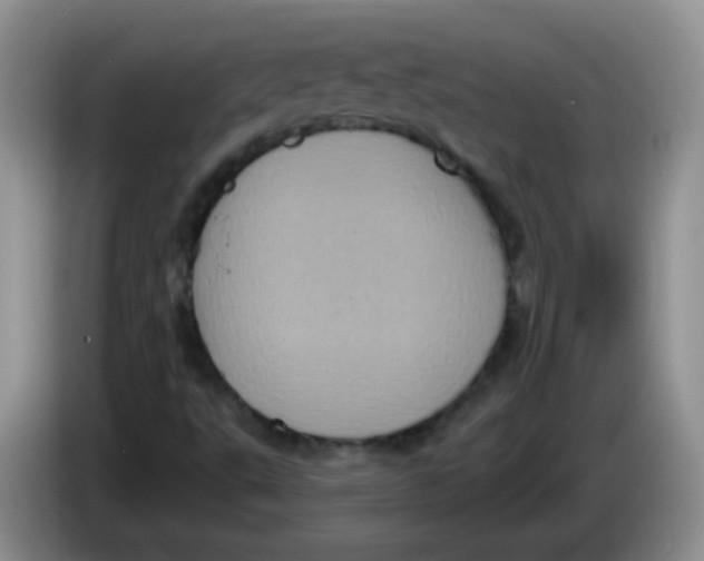 X0000084051495200703092041