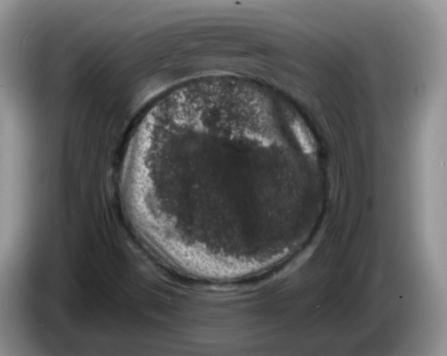 X0000084051497200703092041