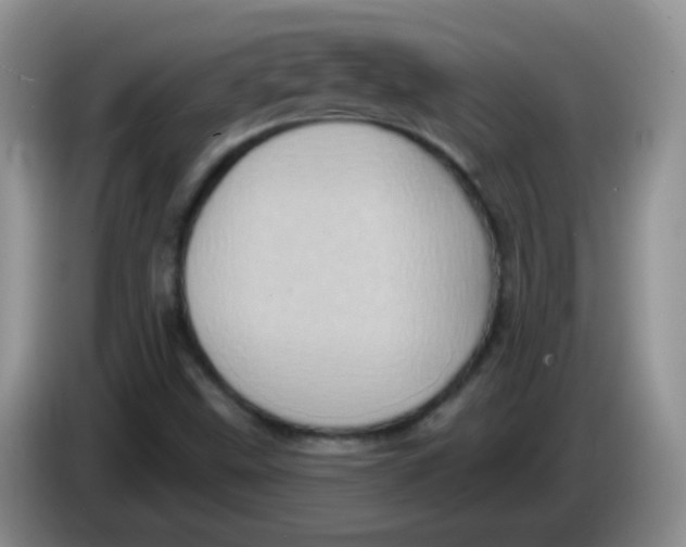 X0000084051499200703092041