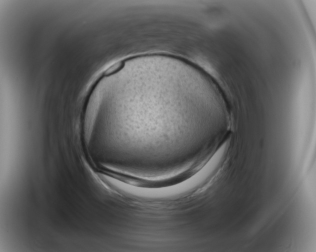 X0000084051500200703092041