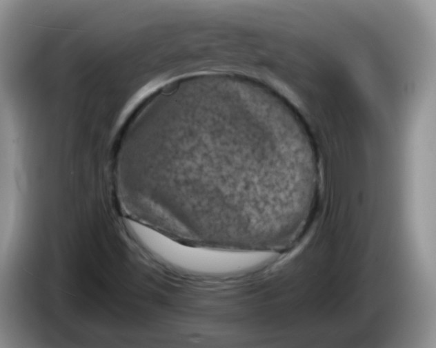 X0000084051501200703092041