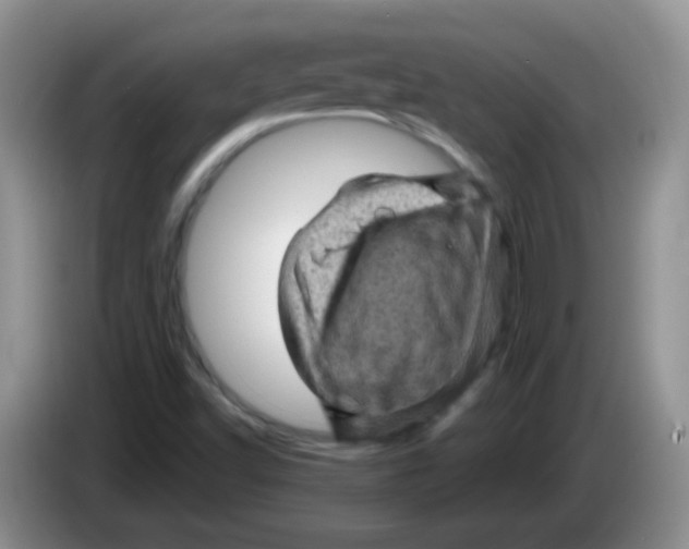 X0000084051502200703092041