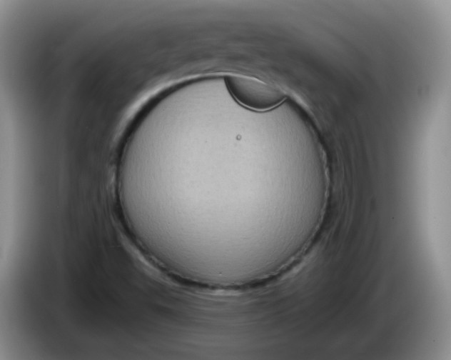 X0000084051503200703092041