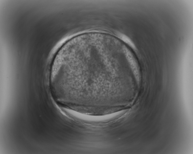 X0000084051504200703092041