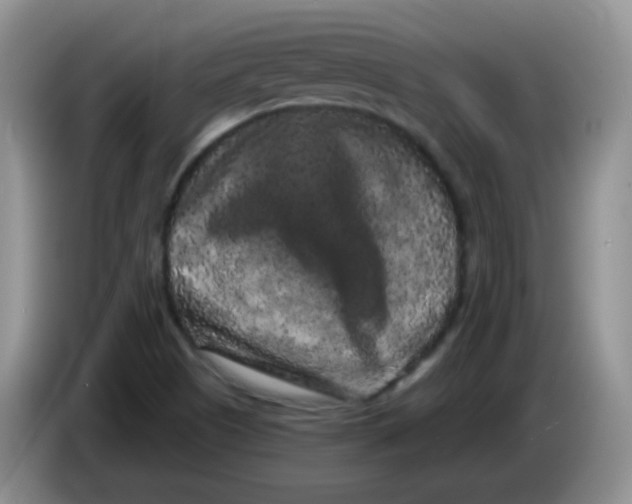 X0000084051505200703092041