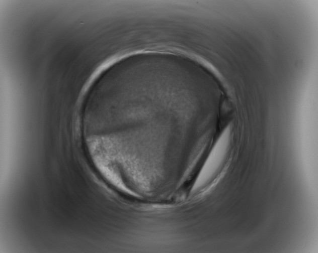 X0000084051506200703092041