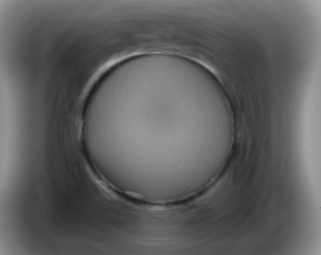 X0000084051507200703092041