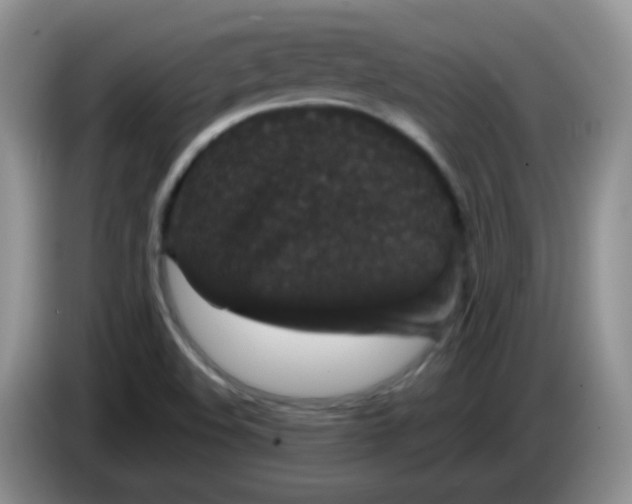 X0000084051508200703092041