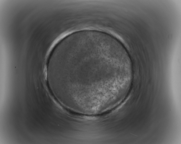 X0000084051509200703092041